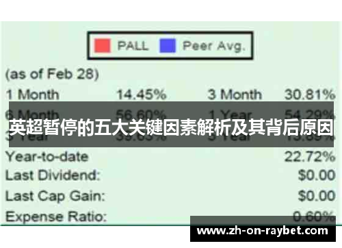 英超暂停的五大关键因素解析及其背后原因