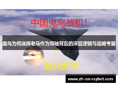 魔鸟为何选择老马作为领袖背后的深层逻辑与战略考量 魔鸟为何选择老马作为领袖背后的深层逻辑与战略考量
